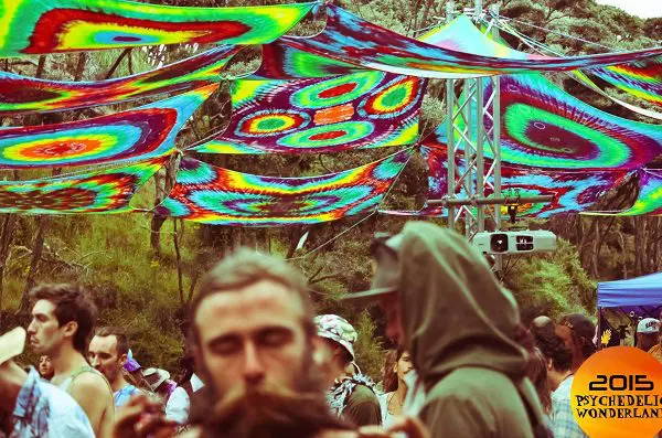 2015 psychedelic wonderland NZ summer festival