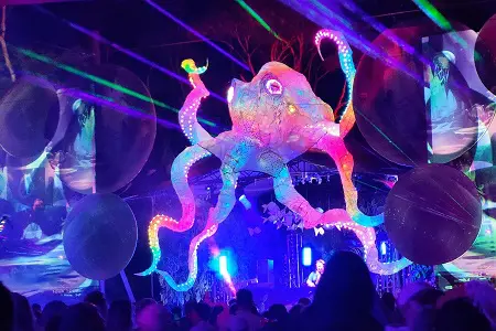 NZ Festival Art