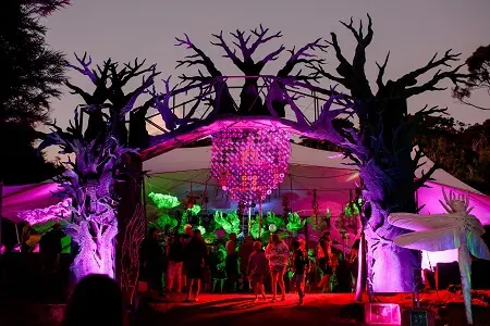 NZ summer festival
