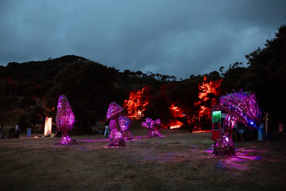 Festival Art