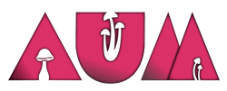 AUM New Year's Music Festival