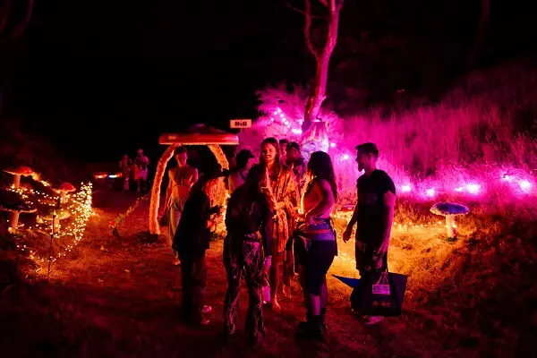 NZ Festivals