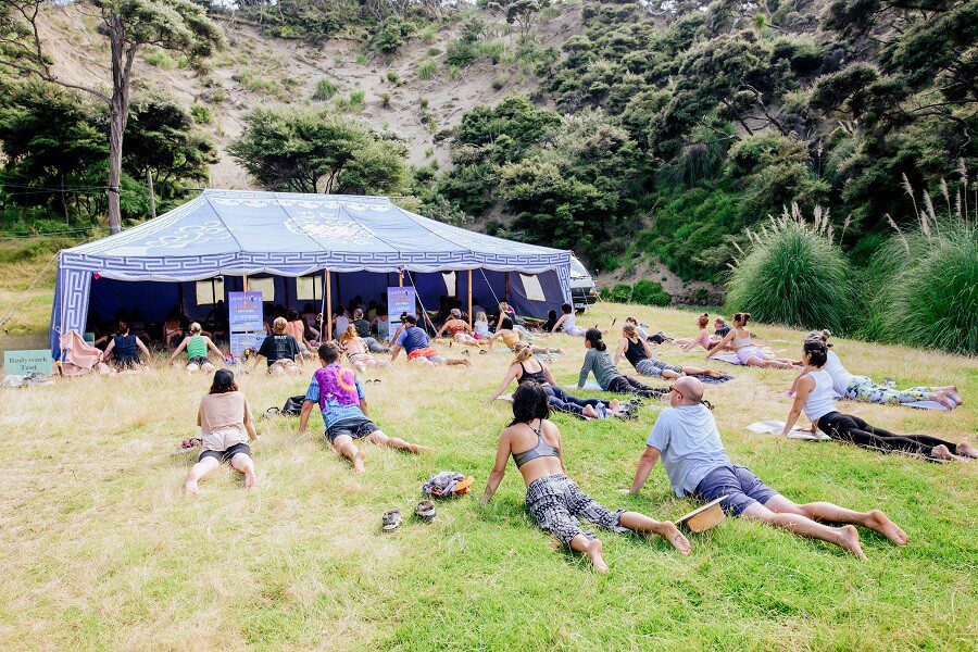 Festival Wellness
