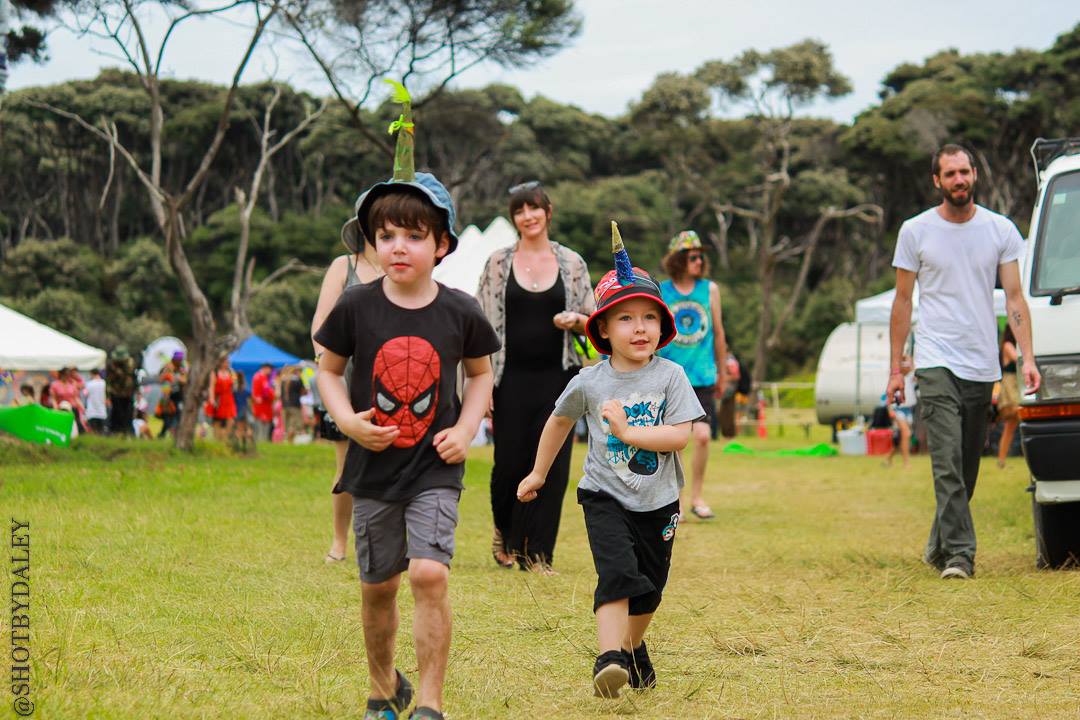 Festivals NZ