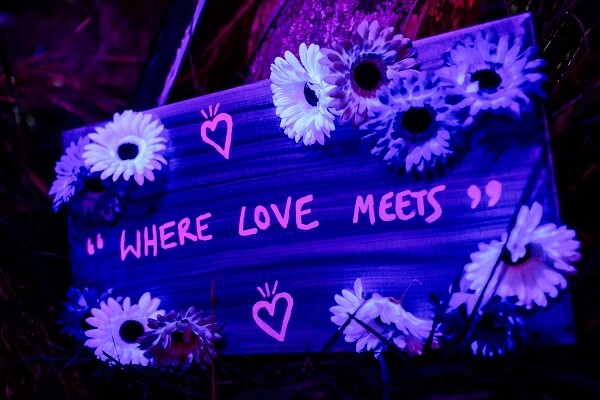 Festival Art