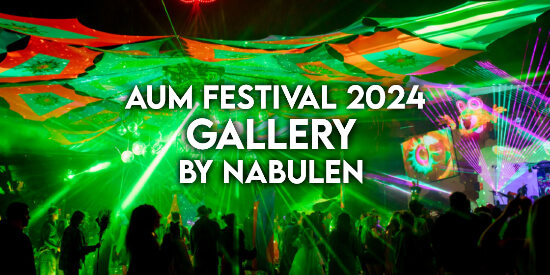 Music Festival NZ Festival Photography