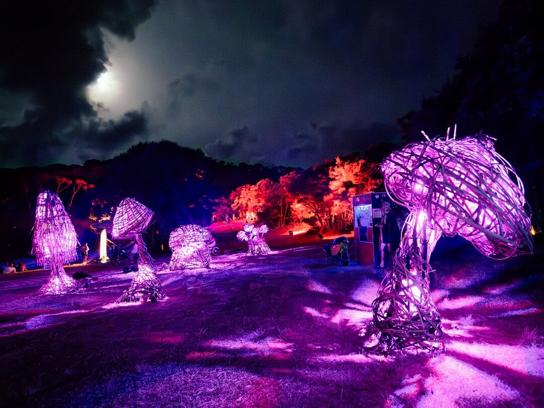 Music Festival Camping